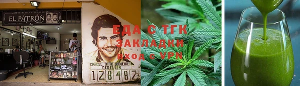 индика Алексин