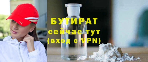 индика Алексин