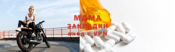 индика Алексин