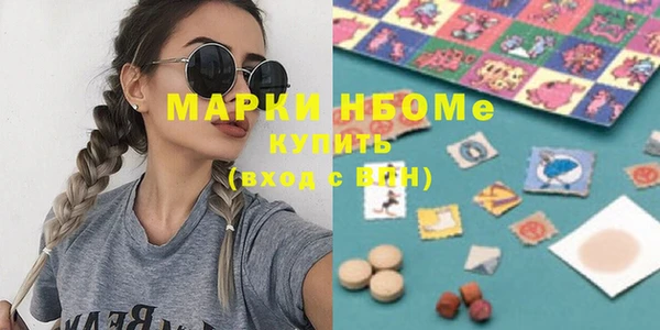 индика Алексин
