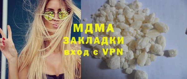 индика Алексин